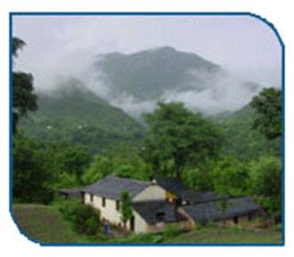 Shimla Farm House, Shimla 1